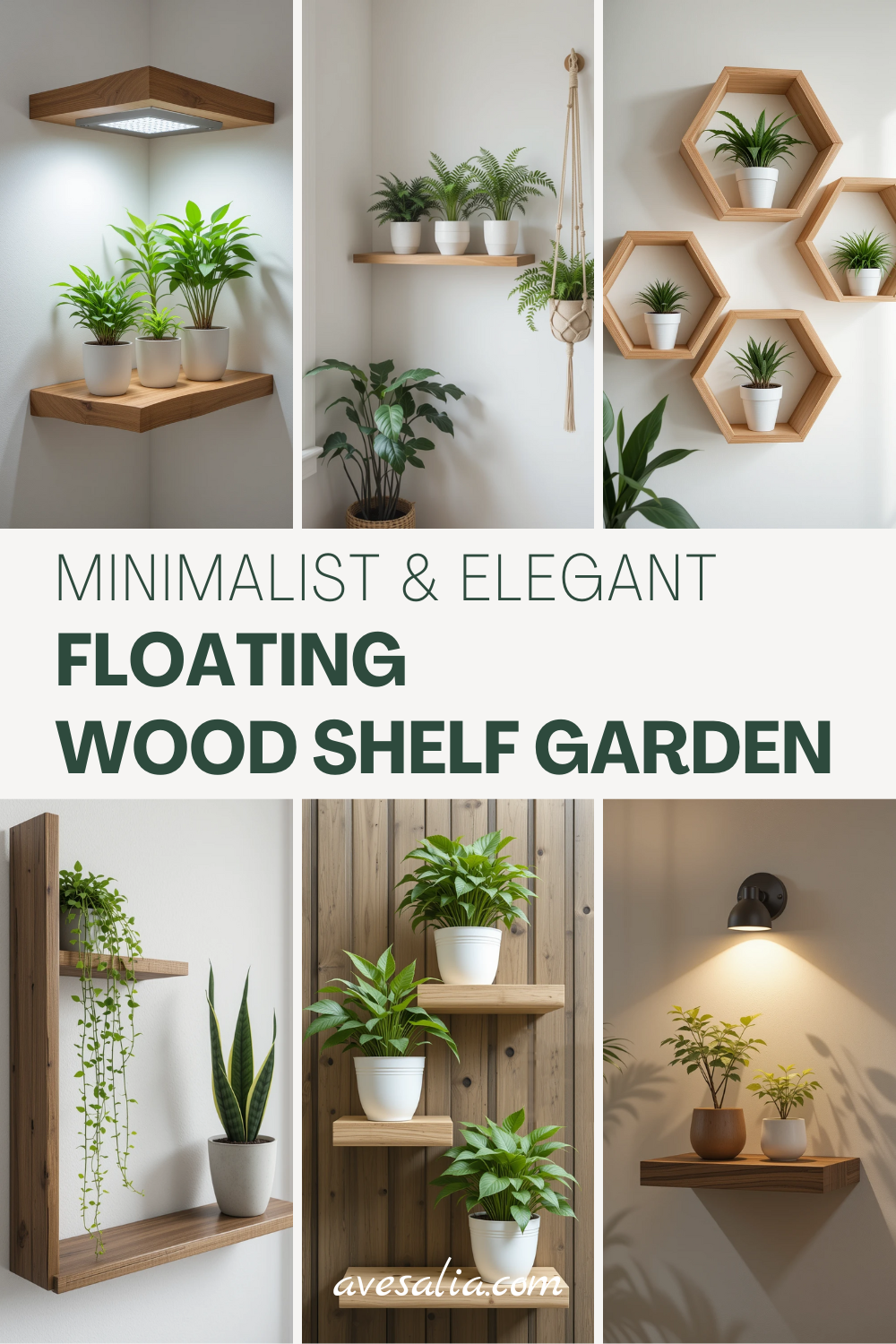 How to Create a Minimalist and Elegant Floating Wood Shelf House Plant Garden