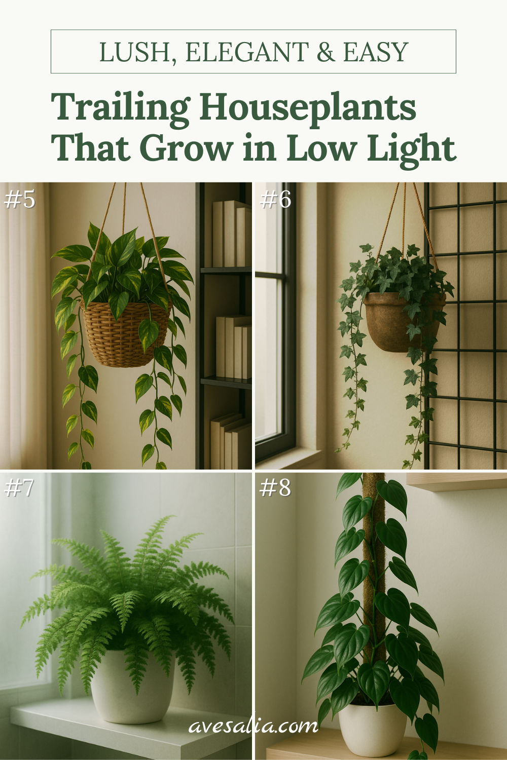 Low Light House Plants: Bringing Green to Shady Spaces