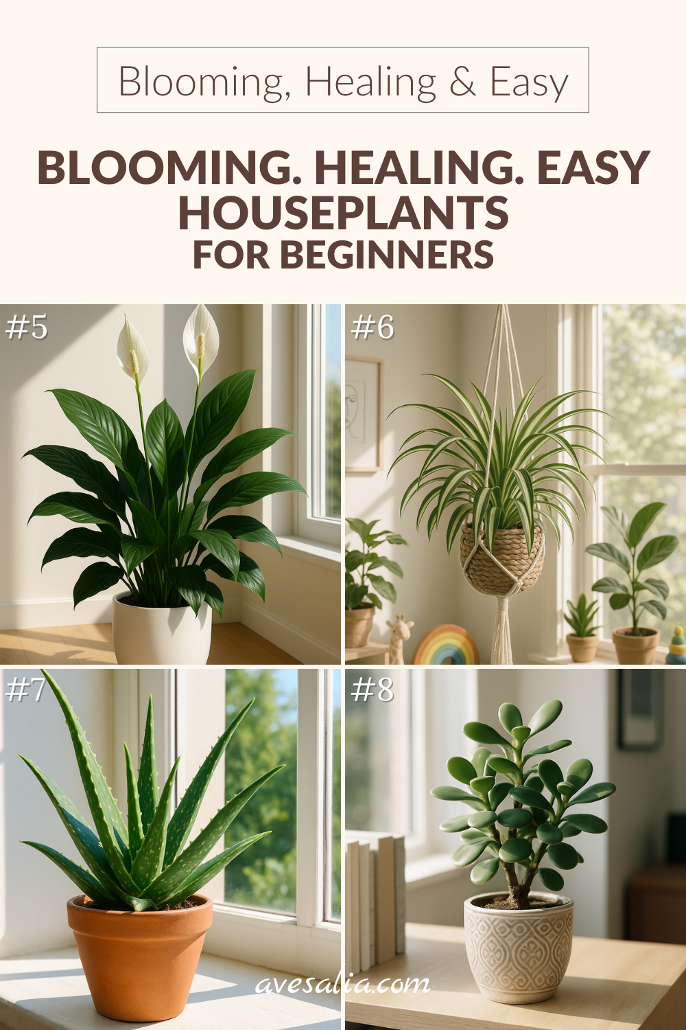 Low-Light, Low-Maintenance: Easy House Plants for Beginners That Anyone Can Grow
