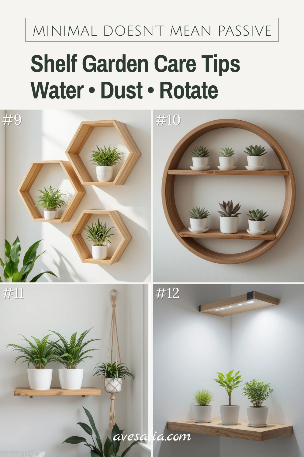 How to Create a Minimalist and Elegant Floating Wood Shelf House Plant Garden