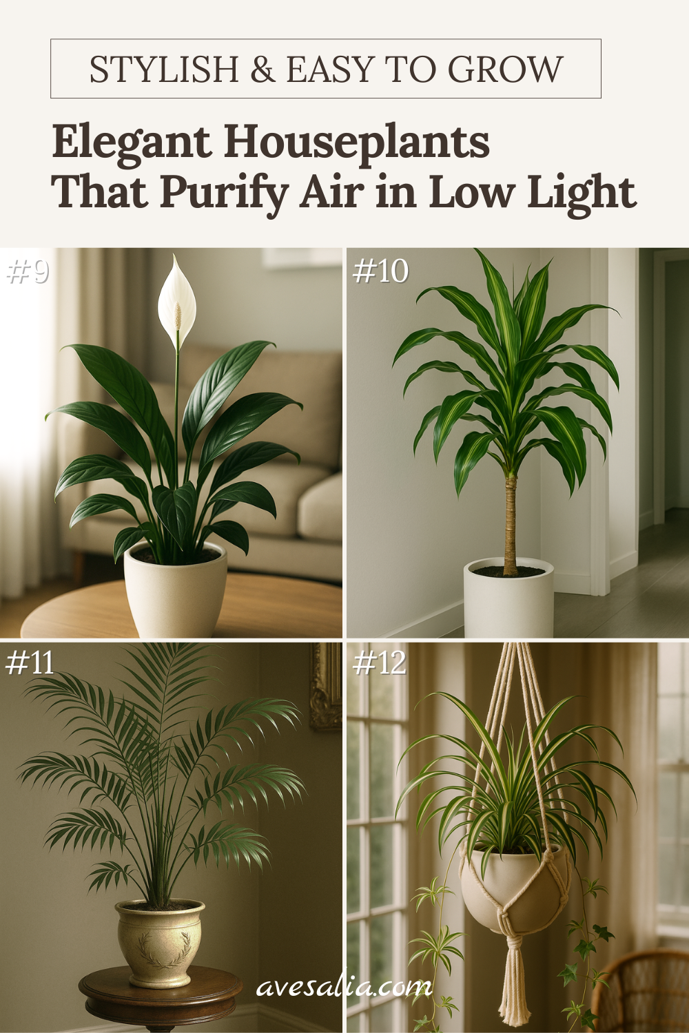 Low Light House Plants: Bringing Green to Shady Spaces