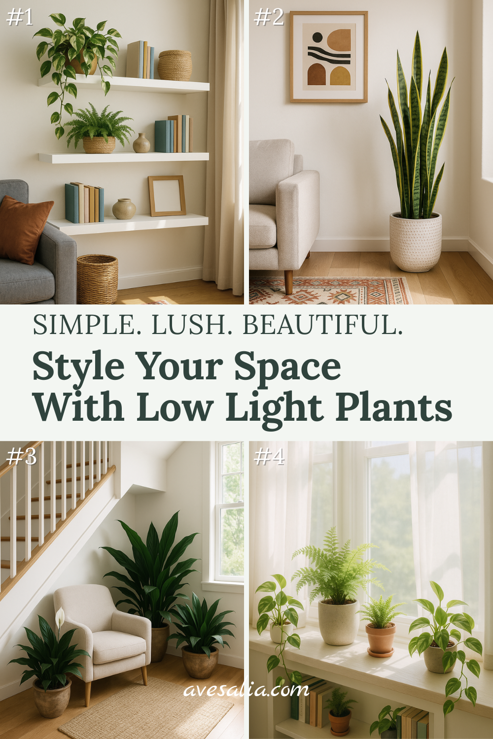 Low Light House Plants: Bringing Green to Shady Spaces