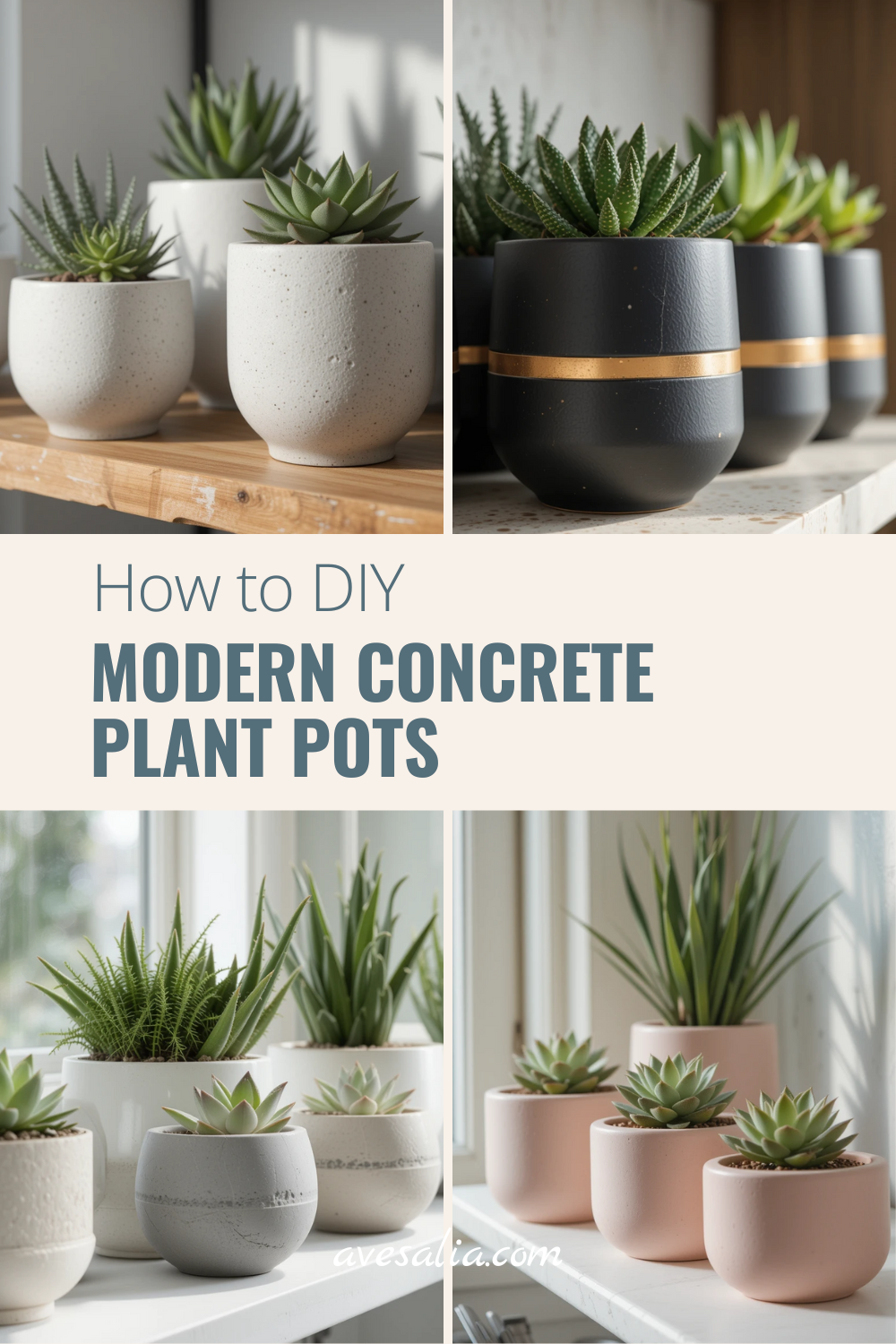 DIY House Plant Pots: Simple, Stylish, and Sustainable Ideas You Can Make at Home
