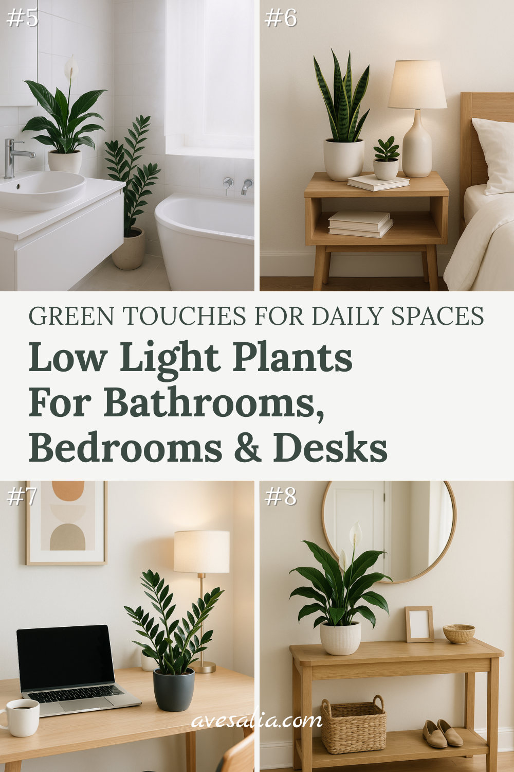 Low Light House Plants: Bringing Green to Shady Spaces