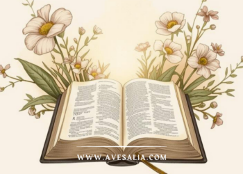 The Most Meaningful Bible Verses for Mother’s Day Cards That Go Beyond the Basics